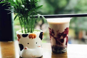 Cafe Omely - Trà Sữa Đài Loan Chuẩn Guu - Cầu Giấy