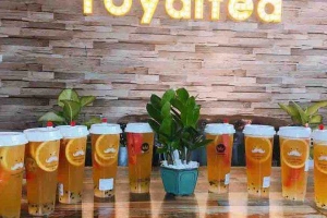 Cafe Royaltea - Sóc Sơn