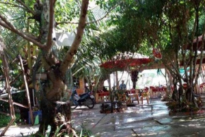 Cafe Sân Vườn 666