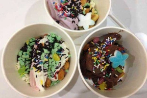 Cafe Scoop Yogurts