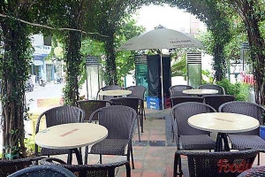 SyNa Cafe