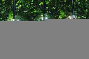 Cafe The Farm - Tea, Smoothies & Juices