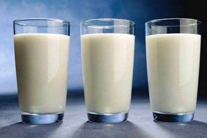 Cafe Tmilk - Sữa Bò Tươi