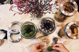 Cafe Tổ - Koffie, Thee & Honey