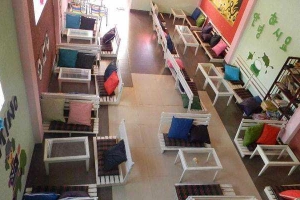 Cafe Trà Sữa Domino