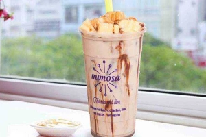 Cafe Trà Sữa Mimosa - Nguyễn Thái Bình