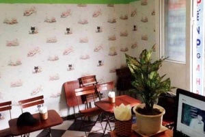 Cafe Trà Sữa Richii