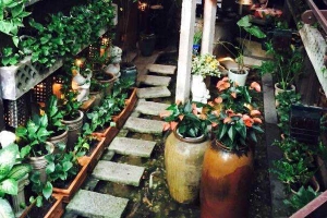 Trầm Cafe - Trần Huy Liệu