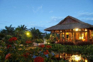 Cafe Wessia - Palm Garden Resort