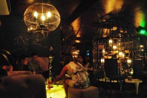 Cafe & Wine Lounge - Mayfair