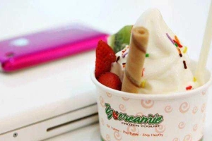 Cafe Yocreamie - The Garden