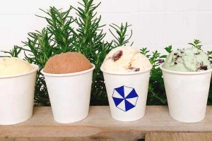 Cafe Zelt's Ice Cream
