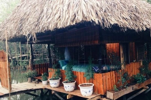 Cánh Đồng Hoa - Springfield Cottage - Khu Nghỉ Dưỡng Sinh Thái