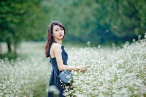 Cánh Đồng Hoa Tam Giác Mạch - Dalatmilk