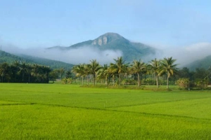 Cao Nguyên Vân Hòa