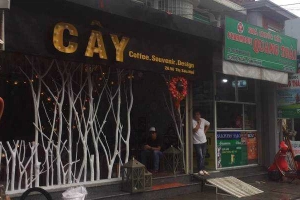 Cây Cafe