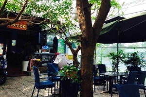 Cây Cọ Cafe