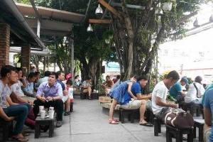 Cây Si Cafe - Lê Đức Thọ