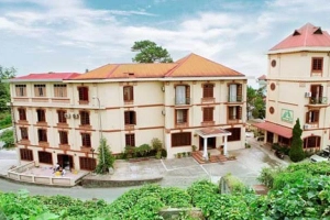 Cây Thông Hotel
