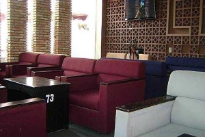 Cây Tùng Cafe