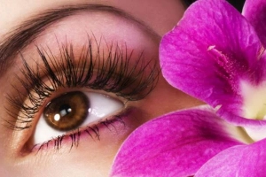 Chau Lash Land - Trung Tâm Đào Tạo Nối Mi