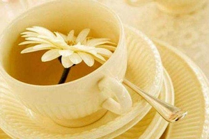 Chí Nguyên Cafe