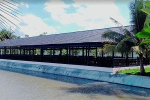 Chín Rồng - Khu Du Lịch Sinh Thái