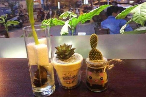 Chouchi Coffee