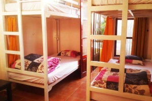 Chú Hổ Nhỏ Homestay