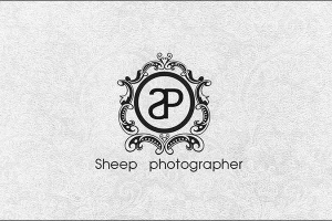 Chụp hình cưới Sheep Photography - Tân Hải