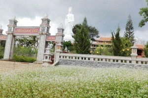 Chùa Vạn Đức