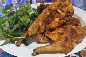 Chuối Hột Rừng - Quán Nhậu Gia Đình