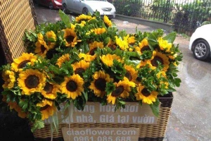 Ciao Flower - Shop Online