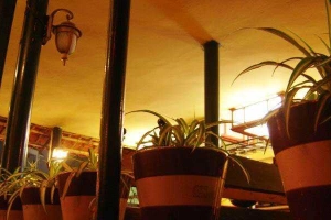 Cổ Ngư Cafe