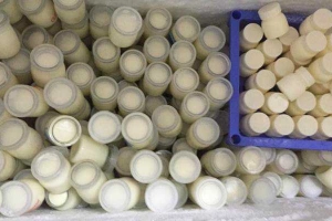 Cô Phượng - Sữa Chua Sạch & Ăn Vặt