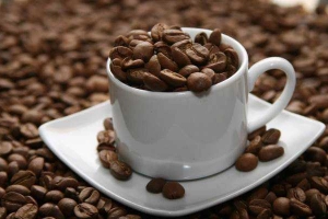 Cóc Kênh Cafe - Dũng Sĩ Thanh Khê