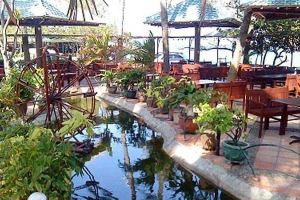 Coconut Bar - Cafe
