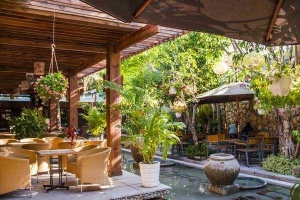 Coconut Cafe