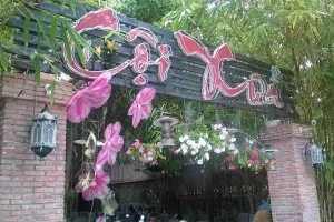 Cội Xưa Cafe - Phạm Thái Bường