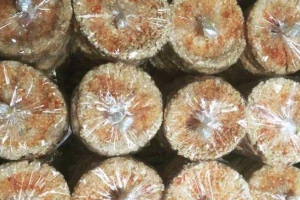 Cơm Cháy Chà Bông Tiền Giang - Shop Online