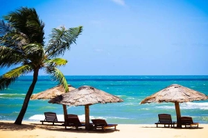 Công Ty Cổ Phần Du Lịch Vietnam Travel