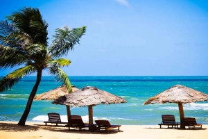 Công Ty TNHH Dịch Vụ Và Du Lịch ABC
