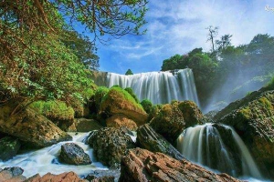Công Ty TNHH Du Lịch Đà Lạt Trong Tôi