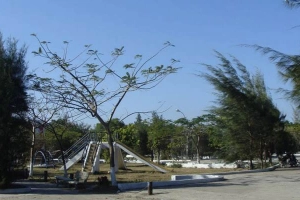 Công Viên Cần Giờ