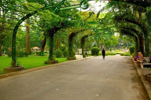 Công Viên Chợ Gạo