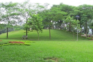 Công Viên Điểu Ong