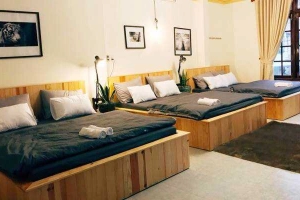 Cosy House Dalat Hostel