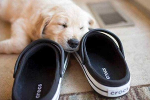 Crocs Viet Nam - Parkson Hùng Vương