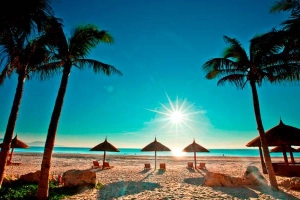 Cty TNHH Du Lịch Bình Định