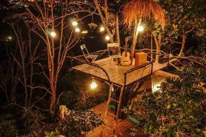 Cú Trên Cây Homestay
